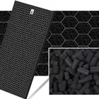 OEM Professional Carbon Activated Air Filter Smoke Removal