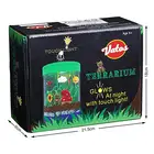 DIY children customized toys mini garden plant grow terrarium kit for kids
