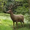 /product-detail/chinese-factory-supply-latest-design-decorative-life-size-bronze-deer-sculpture-brae-31-62341689673.html