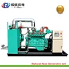 /product-detail/low-emission-20kw-25kva-lng-cng-biogas-generator-60806655209.html