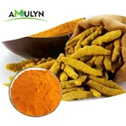 High Quality Pure Curcumin Turmerica Fine Powder