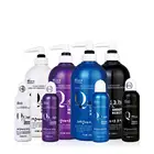 Nourishing Professional Hair Shampoo OEM 300ML-1000ML Q10 Private Label Salon