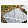 /product-detail/steel-bird-spikes-2pc-25cm-base-11cm-10pc-steel-spike-pest-control-62242212587.html