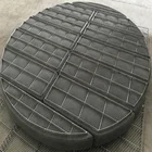 High Quality Stainless Steel Wire Mesh Demister for Stripping Tower
