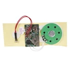 30s Sound Greeting Card Voice Recorder Module Voice Chip