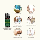How to Buy High Quality Carrot Seed Oil in China 100% GMP ISO22716 OEM Pure Essential