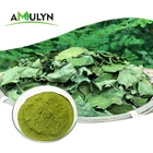 AMULYN Green Powder Freeze Dried Moringa Leaf Extract