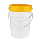 Multi purpose 5 gallon plastic pail with lid
