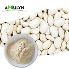 Bean Powder Powder Chinese Supplier Natural White Kidney Bean Extract Powder