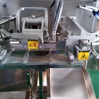 Horizontal Premade Bag Packing 200g Dried Fruit Powder Packaging Machine