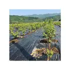 Hot Sale Shade Netting Roll For Agricultural Farm Greenhouse
