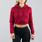 Wholesale streetwear sweatshirts women long sleeves crop top gym wear hoodie