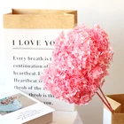 Wholesale High Quality Single Anna Preserved Hydrangea With Stem For Wedding Decoration