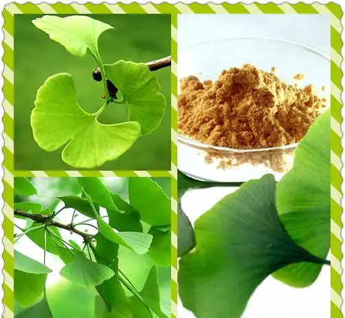 flat-plate type nature plant extract centrifugal separator