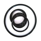 Seal Orings Good Sealed Aging Resistance Performance Oring Elastomer O Ring NBR Rubber O-ring