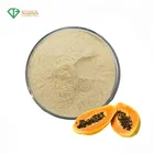 100% pure natural papaya leaves extract powder organic papaya fruit extract powder.