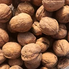 Fruit Dry Walnuts Top Grade Bulk Walnuts Thin Skin Cheap Walnuts Dry Fruit