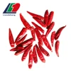 /product-detail/certified-kosher-halal-haccp-spices-and-herbs-spices-importers-in-iran-flour-mill-chilli-powder-872635523.html
