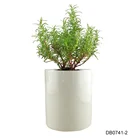 4.7" tall simple cylinder white gardener chinese factory wholesale european design flower ceramic pots for plants