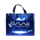 Laminated Carry Bag Hot Sale Eco Friendly Manufacturer Laminated Non Woven Carry Bag