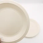 Disposable Plates High Quality With Low Price 9" Inch Biodegradable Disposable Cornstarch Plates