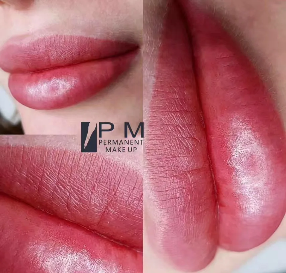 Microblading Pmu Wenkbrauw Beste Tattoo Inkt Pigment Voor Lip Eyeliner