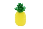 Chinese Chinese Factory Inventory Direct Sales Pet Toys Chew Dog Toy