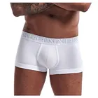 Free Sample Seamless Custom Shorts Mens Sexy Men Classic Brief Panties Men's Underwear Boxer Briefs Logo
