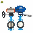 Ductile Iron 1 Inch Worm Gear Electric Butterfly Valve Pneumatic Water Type Butterfly Valve