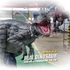 RDC0472 Popular Dinosaur Show Props Walking Dinosaur Suit for Sale