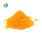 Medicine raw material turmeric curcumin powder