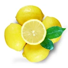China Fresh Fresh High Quality Cheap Price China Original Factory Best Selling Fresh Yellow Lemon