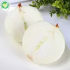 IQF supplier wholesale frozen white onion chopped and diced in bulk
