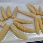 Canned Foods Canned OEM Brand Canned Cut Baby Corn All Kinds Of Canned Foods Baby Corn Processing