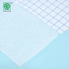 Paper Manufacturer Medical Adhesive Non Woven Tape OEM Tape Non Woven Paper
