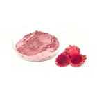 Freeze Dried Pitaya Powder Organic Dragon Fruit Powder