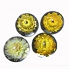 /product-detail/4-inch-transparent-clear-resin-ball-with-dry-flowers-plants-leaf-embedding-60747902343.html