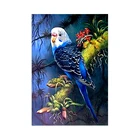 2019 animal Daquan 5D DIY diamond painting parrot, manufacturers wholesale custom Diamond drawing