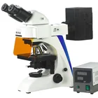 OPTO-EDU A16.2603-B2 Binocular LED Fluorescence Microscope Quarduple, Infinity Plan