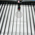 6090 Auto Position Cnc Co2 Laser Cutting Machine With Ccd Camera For Fabric Cloth Label Cutting