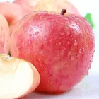 China Wholesale High Quality Fresh Royal Fruit Market Prices Red Fuji fresh Apple