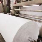 Agriculture Nonwoven Fabric Manufacturers High Quality Pp Nonwoven Fabric White Agriculture