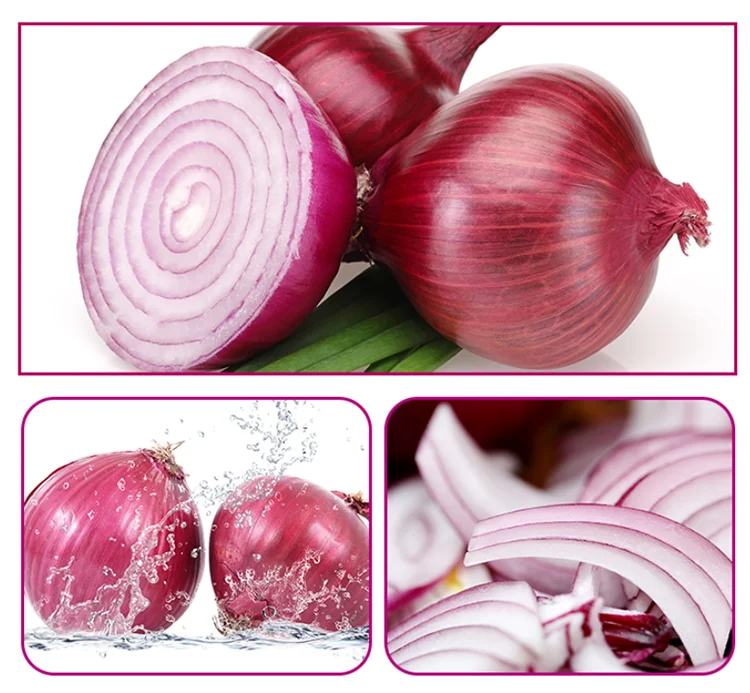 Fresh Red Onion(图1)