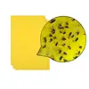 /product-detail/2019-hot-sale-low-cost-fly-control-yellow-glue-board-flies-pest-type-double-side-insect-sticky-traps-catcher-62367794814.html