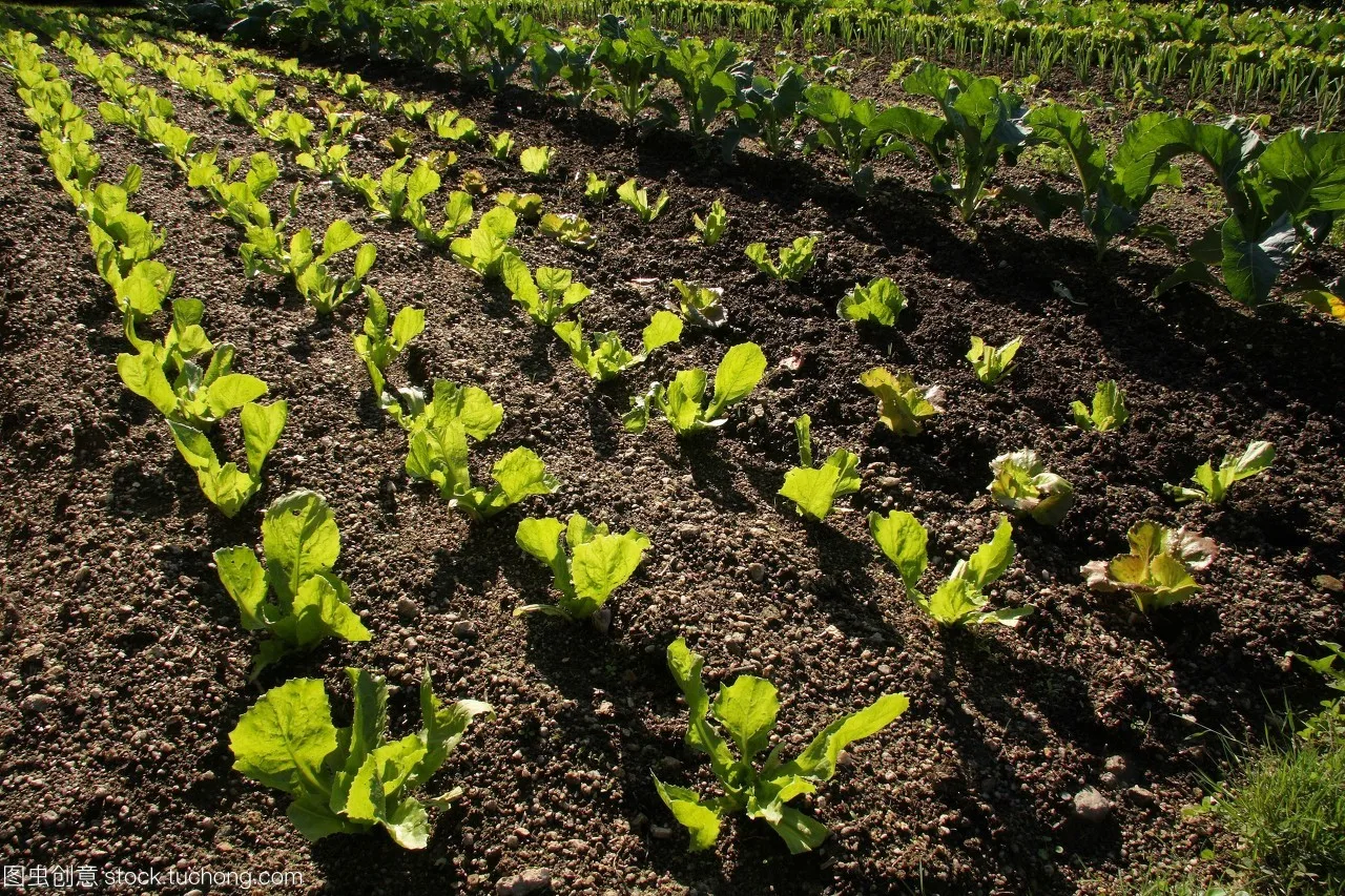 Organic Fertilizer Fermenter