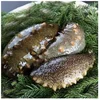 Japan high quality lower price of dried sea cucumber