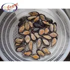 Seafood products from china market cooked frozen shell mussel