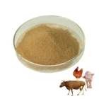 Balance intestical tract bacillus subtilis bacteria