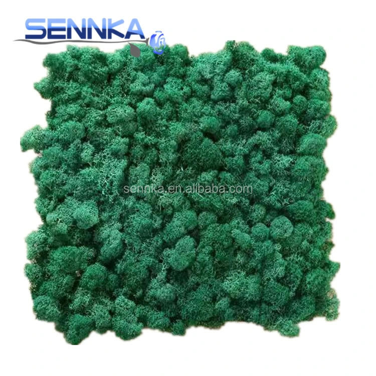reindeer garden real stabilized moss wall diy natural preserved