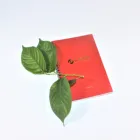 custom printing A4 A5 A6 B5 craft ring binding notebook with pen stitching